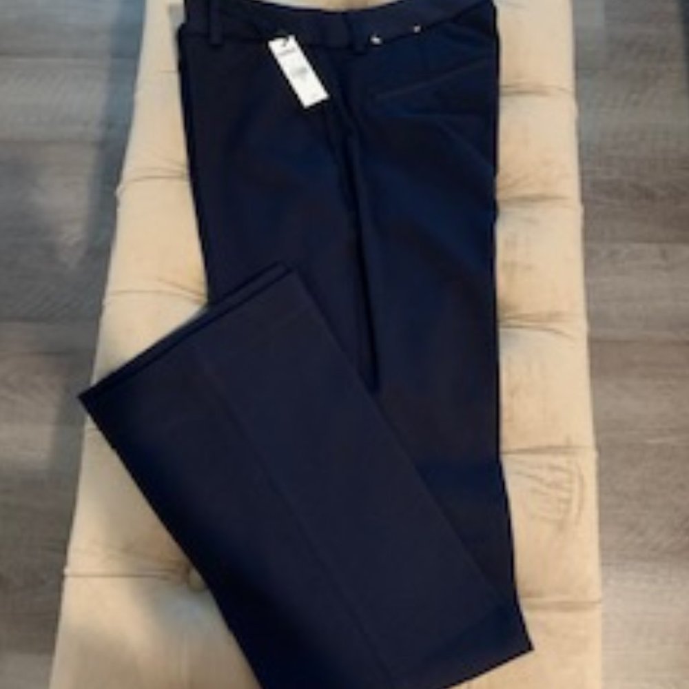 Express Columnists Slim Flare Pants
